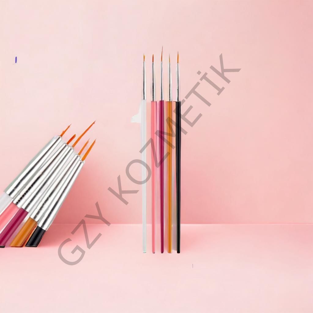 5'li Aoyasue Renkli Nail Art Fırça Set
