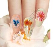 Kuru Çiçek Model-1