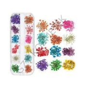 Kuru Çiçek Model-1